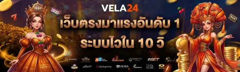 vela 24