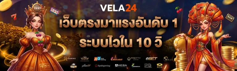 vela 24